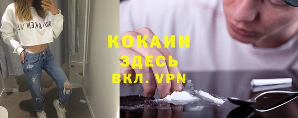 прущие грибы Волоколамск