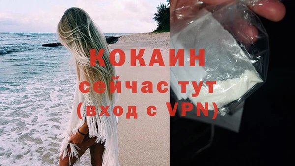 прущие грибы Волоколамск