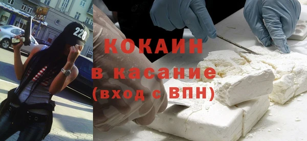 прущие грибы Волоколамск