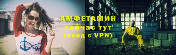 прущие грибы Волоколамск
